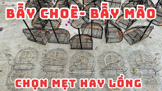 Lồng bẫy chim chào mào + mẹt bẫy choè than hàng KỸ SIÊU PHẨM cho ae đam mê