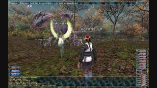 Final Fantasy XI Tinnin ZNM