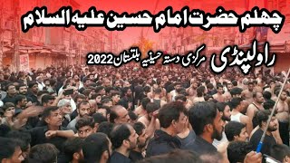 Chehlum Hazrat Imam Hussain a.s 2022 | Markazi Jaloos Dasta Hussania Baltistania Rawalpindi |