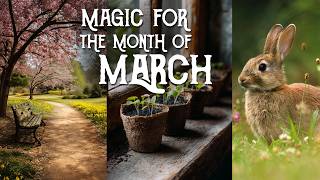 Witchcraft for March: Eight Ways to Align with Spring Equinox Energy - Magical Crafting
