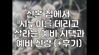 신혼 집에서 시누이를 데리고 살라는 예비 시댁과 예비 신랑 (+후기)