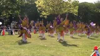 舞華さん あっぱれ富士2014・春 芝生会場