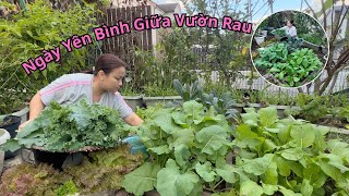 Một ngày hái rau tưởng bình thường… ai ngờ vườn rau của Q ra nông nỗi này 😭