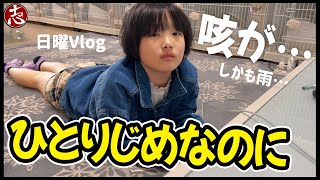 【日曜Vlog】娘ひとりっこ生活のはずがみーちゃん🐈体調不良で病院へ…志くんはプライベート旅行から帰宅♪