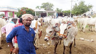 దేవరకద్ర సంతలో సేద్యం చేసే తూర్పు ఎద్దుల ధరలు-devarakadra bulls market-oxen market-cattle market-ox🐂