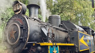 Nilgiri Mountain Railway: A Scenic Train Ride Through the Hills