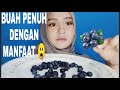 BLUEBERRY | BUAH YANG PENUH DENGAN MANFAAT