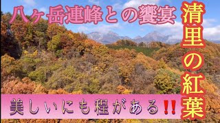 【人気の紅葉】清里ドライブ🍁この橋からの眺めが圧巻‼️ 見惚れすぎて事故注意🚐