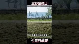 The big kid riding a pig in the countryside, training starts with games #games #游戏 # funny #gaming