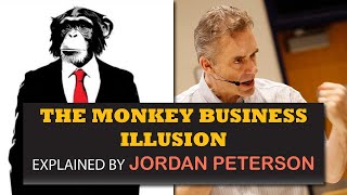 The Monkey Business Illusion: Explained By Jordan Peterson
