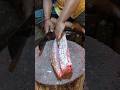 Delicious Giant Red Snapper Fish Cutting Skills Live In Fish Market || Part-2 #shorts