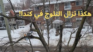 ❄️ الهجرة إلى كندا: كيف تتعامل المدينة مع تراكم الثلوج؟! 🇨🇦❄️