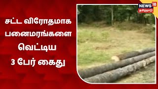 Ranipet | சட்டவிரோதமாக பனை மரங்களை வெட்டிய மூன்று பேர் கைது