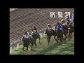 elusive pimpernel ridden by aslam kader the indian derby 1995