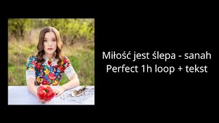 Miłość jest ślepa - sanah - perfect 1h loop + tekst