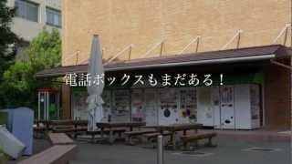 懐かしの大阪外国語大学