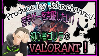 【PC/VALORANT/参加型】初心者による秘密特訓！はたして何時間で上手くなれるのか？？7日目【初見様、参加者様大歓迎!!】