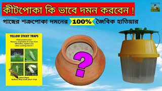 Insect control methods /ফসলে কীটনাশক প্রয়োগ না করে শত্রু পোকা দমনের সহজ পদ্ধতি