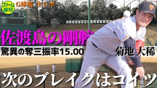 【ネクストブレイク】驚異の奪三振率15.00！　菊地大稀投手が次なる支配下登録だ！育成D６位からの下克上【ファーム報知】