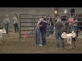 2013 aqha region 2 championship show highlight video