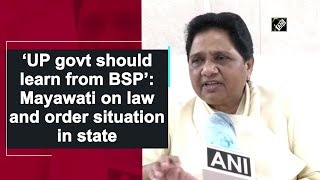 ‘UP govt should learn from BSP’: Mayawati on law and order situation in state