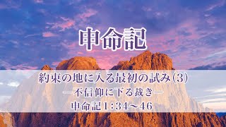 申命記（4）約束の地に入る最初の試み（3）―不信仰に下る裁き―