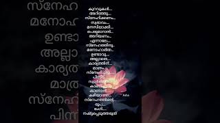 കുറവുകൾ അറിഞ്ഞു സ്നേഹിക്കാൻ കഴിയണം....