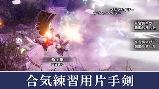 合気練習用片手剣装備！全属性対応！！│攻めの守勢と合気で滅・昇竜撃を楽しめる｜モンハンライズ:サンブレイク