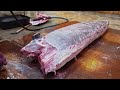 800km chase！white marlin catching white marlin cutting master sashimi 800公里的追擊！白旗魚捕捉 旗魚切割大師 成功漁港