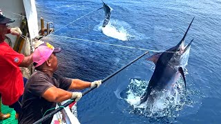 800km Chase！White marlin Catching, White Marlin Cutting Master, Sashimi/ 800公里的追擊！白旗魚捕捉, 旗魚切割大師-成功漁港