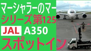 【マーシャラー・第１２５弾】ＪＡＬ機スポットイン！　マーシャリングカーに乗ったマーシャラーのマーシャリングです　いつもグランドハンドリングありがとうございます！