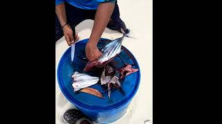 how to cut Tuna easily;  ഈസിയായി ട്യൂണ മീൻ വെട്ടുന്നതു കാണൂ.....