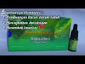 manfaat STARS PROPOLIS BRAZILIAN Nine Stars