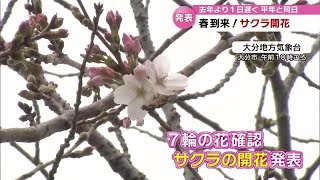 おまたせ！　大分も「開花宣言」　ソメイヨシノ満開は３月末から４月初め　大分 (23/03/24 18:30)