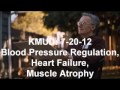 Ray Peat KMUD: 7-20-12 Blood Pressure Regulation, Heart Failure, Muscle Atrophy Full Interview