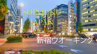 Shinjuku Tokyo Rainy Evening walk [Japan Walking Tour][Tokyo Walk][東京散歩] / ජපන් සංචාරය /ටෝකියෝ