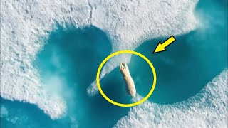 This photo shocked the entire Internet! Look what the drone discovered!