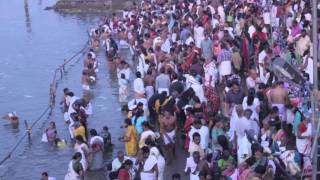 Aluva Sivaratri: Pitru Tarpanam