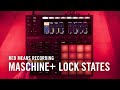 MASCHINE+ Lock States with Red Means Recording | Native Instruments