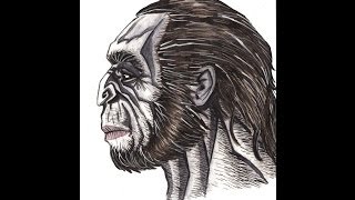 Ape Style Neanderthal - A Dredfunn Reconstruction - Time Lapse Art