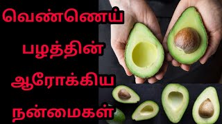 வெண்ணெய் பழத்தின் ஆரோக்கிய நன்மைகள் | Health Benefits of Butter Fruit in Tamil | Tamil Health Tips