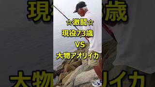 現役73歳と大物アオリイカとの激闘 #shorts #ヤエン #バトル #大物アオリイカ