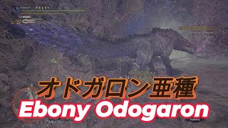 Monster Hunter World Iceborne - Ebony Odogaron [Long Sword]