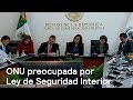 ONU pide rechazar Ley de Seguridad Interior - En Punto con Denise Maerker