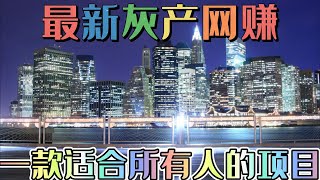 2023网赚项目|最新灰产项目|网赚 网络赚钱 毫无风险，教你十分钟就可以跑分赚到5000+。灰产 跑分 跑货 网站平台真实演示（5分钟讲解教程）