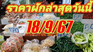 ราคาผักล่าสุดวันนี้ 18/9/67