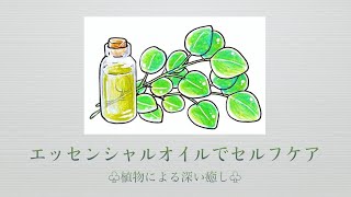 【アロマ＃2】ペパーミント/使い方/香りの特徴