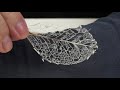 【自由研究】葉脈標本を作る making of veins of leaf specimen