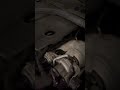 bmw 116i n13 engine sound wastegate or timing chain