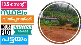 13.5 സെന്റ് സ്ഥലം വിൽപ്പനയ്ക്ക് #realestate #highrangeproperties #landforsale #idukki #youtubefeed